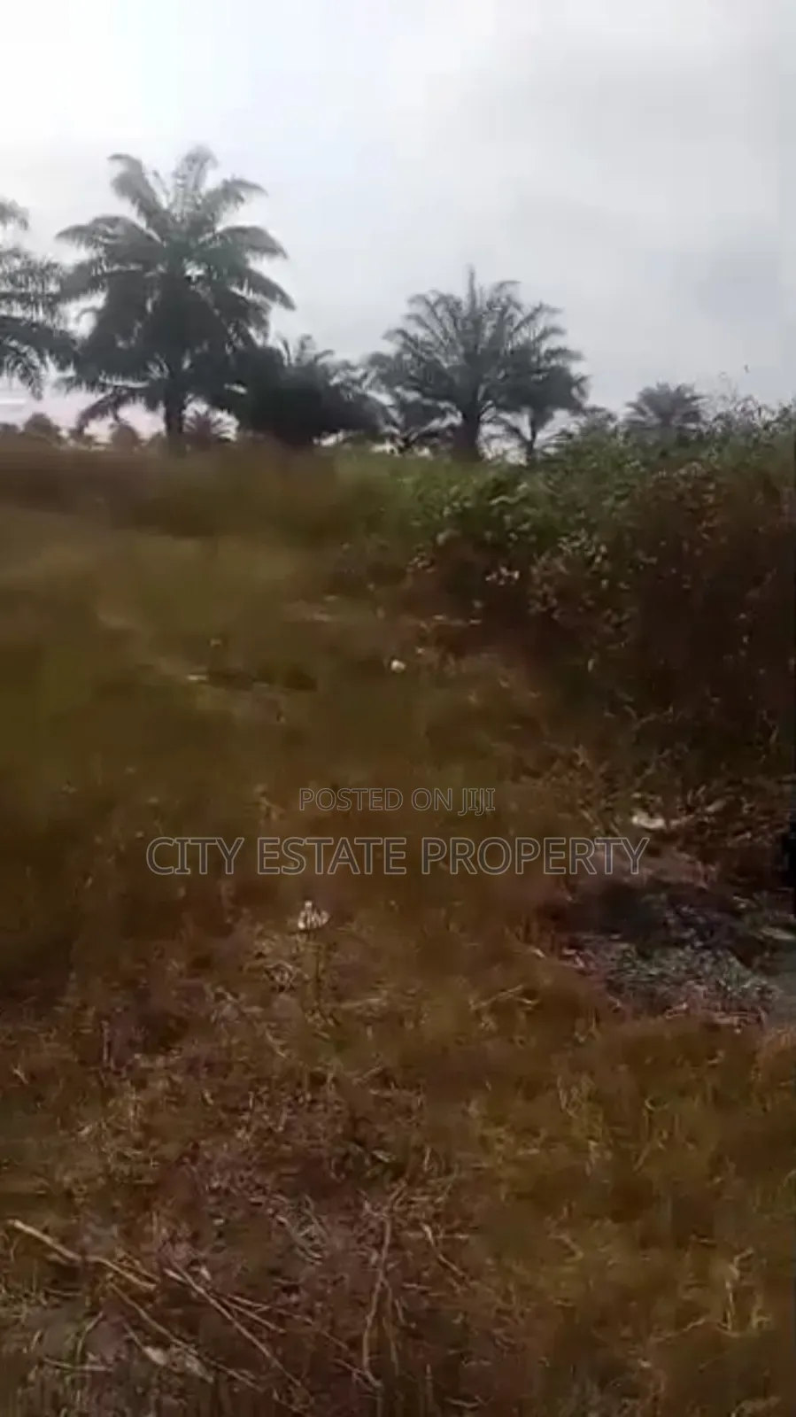 Land for Sale at Omagwa in Omagwa