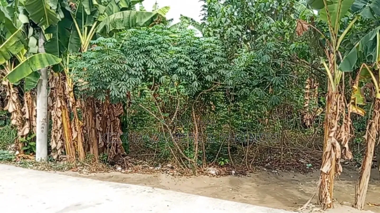 For Sale : 1 Plot at Majestic Estate, Nta Road,Ph in Port-Harcourt