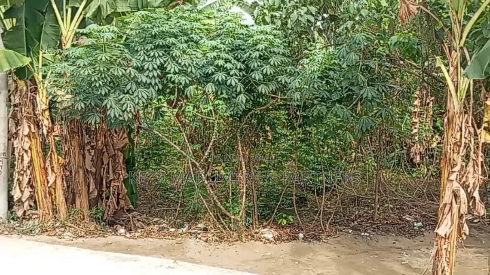 For Sale : 1 Plot at Majestic Estate, Nta Road,Ph in Port-Harcourt