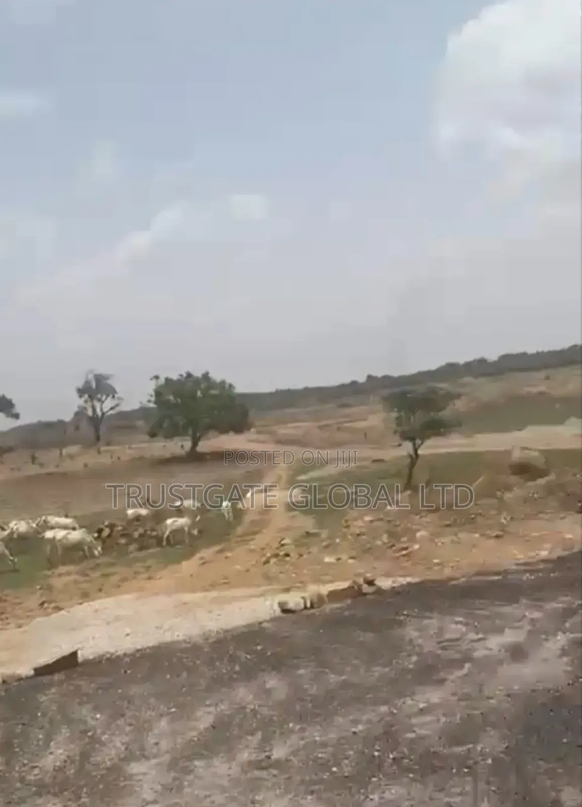 Land for Sale in Karsana