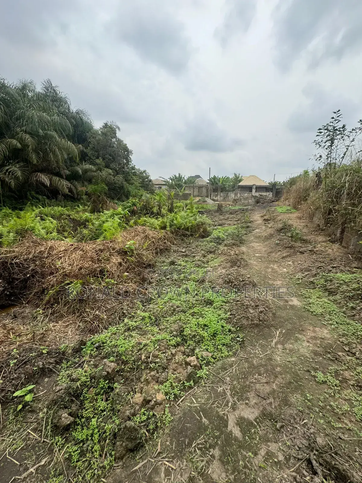 Gated Full Plot of Land at Magboro, Ogun State in Obafemi-Owode