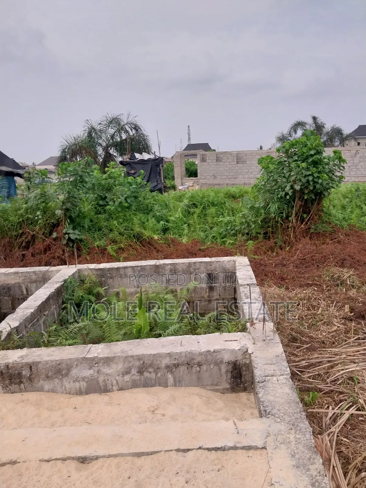 Hot Selling Mole Solar Estate Ijegun 50ft by 100ft in Ijegun
