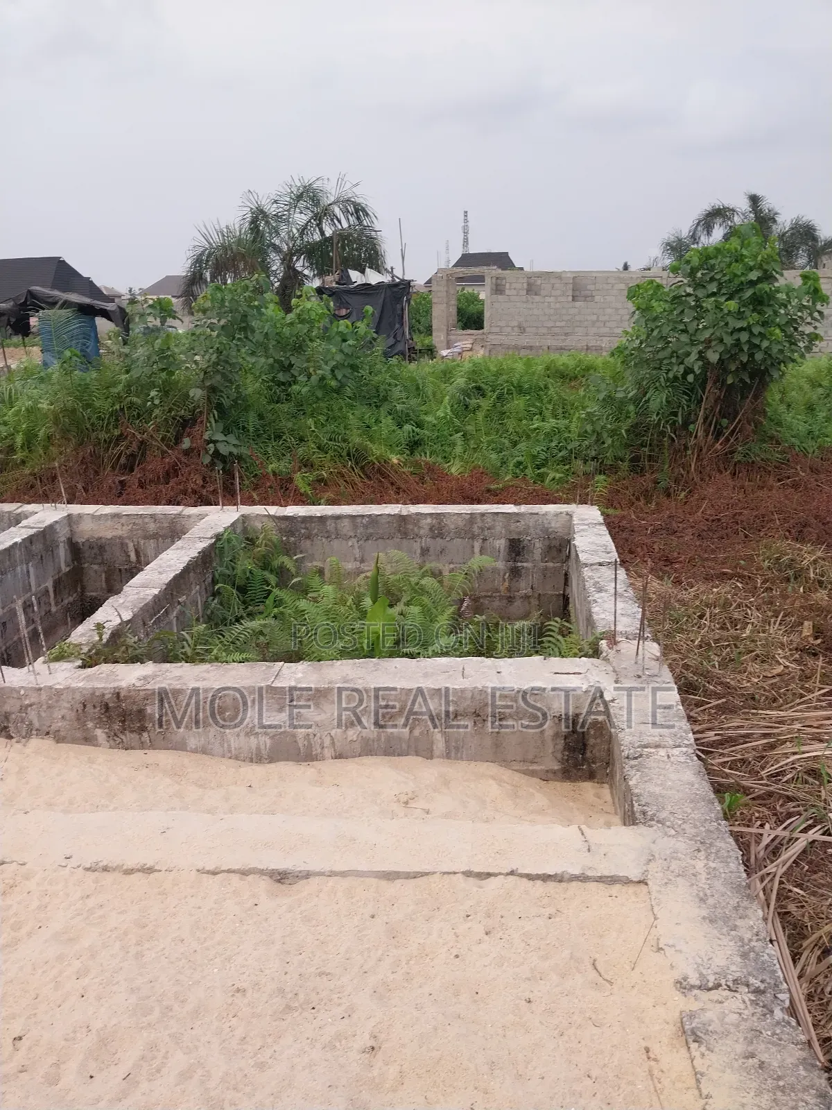30ft by 60ft Quater Plot Ijegun Festac Lasu Link Ojo Lagos in Ijegun