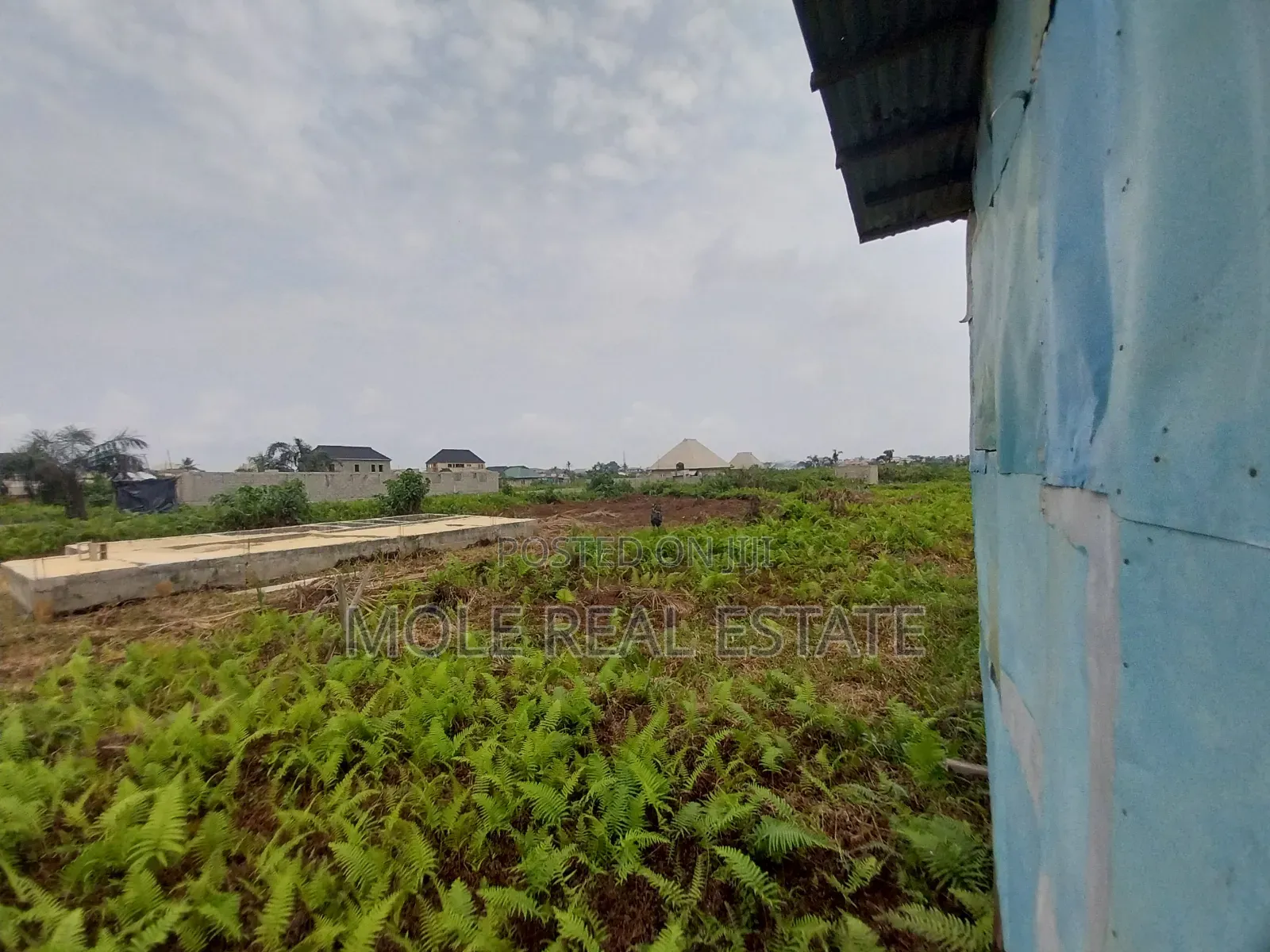 30ft by 60ft Quater Plot Ijegun Festac Lasu Link Ojo Lagos in Ijegun