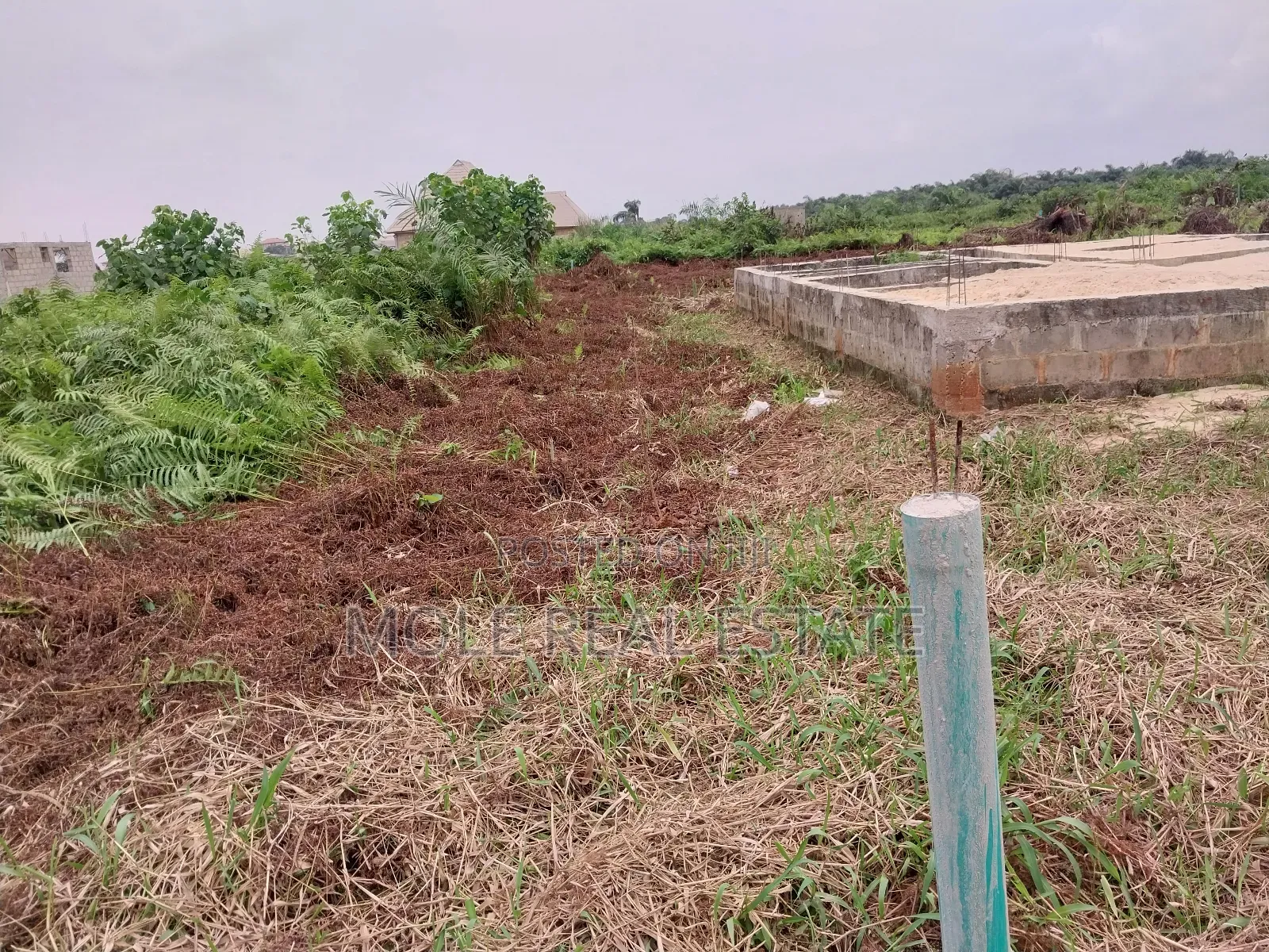 30ft by 120ft Half Plot Ijegun Festac New Link Ojo Lca Lagos in Ijegun