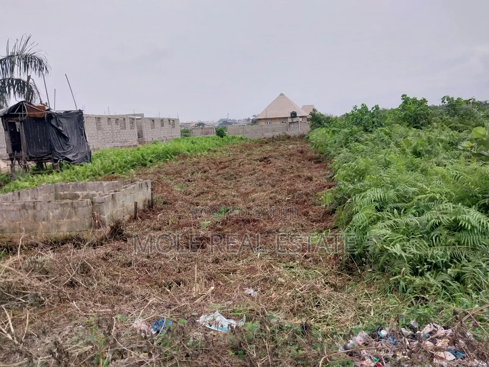 30ft by 120ft Half Plot Ijegun Festac New Link Ojo Lca Lagos in Ijegun