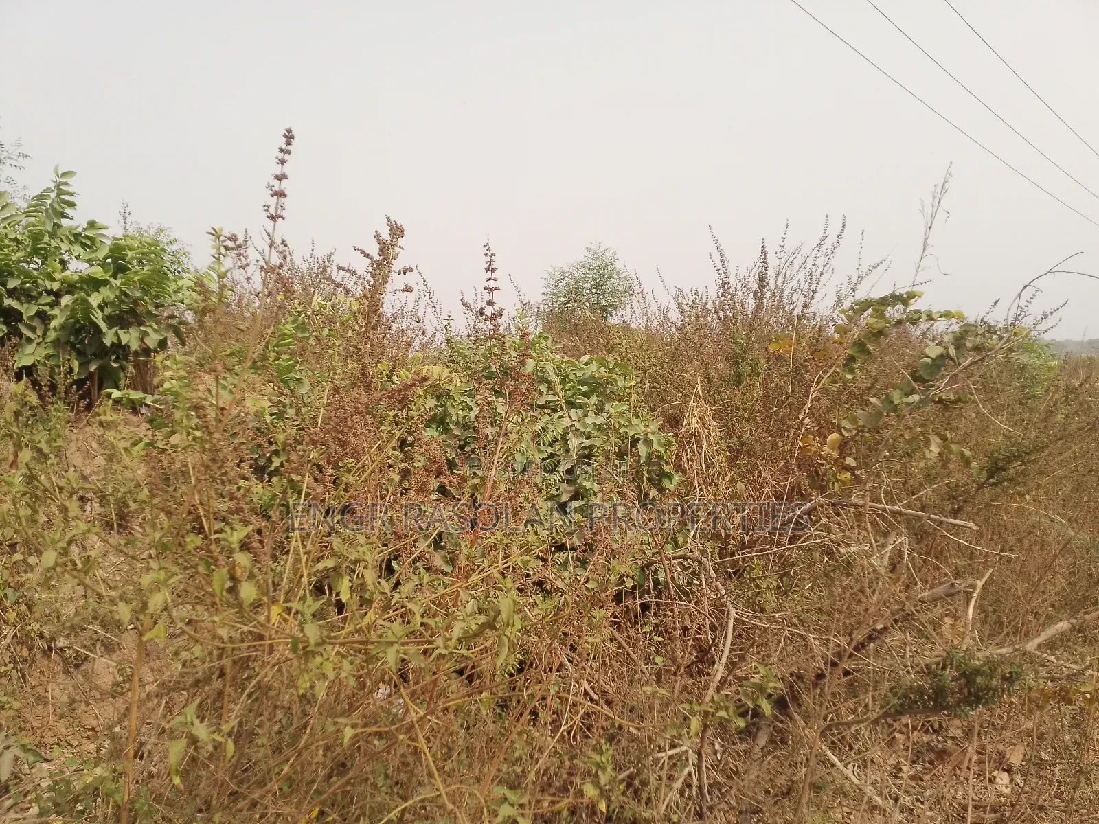 For Sale 20 Plots of Land in Asa