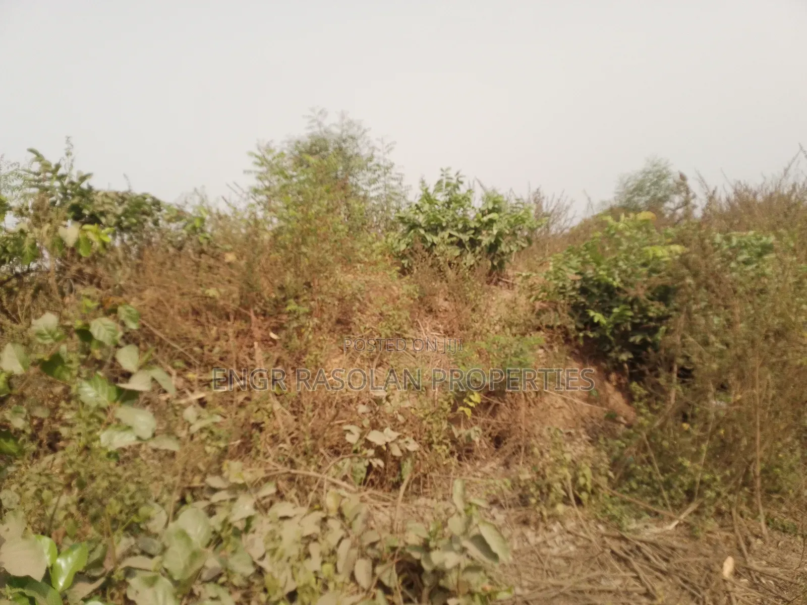 For Sale 20 Plots of Land in Asa