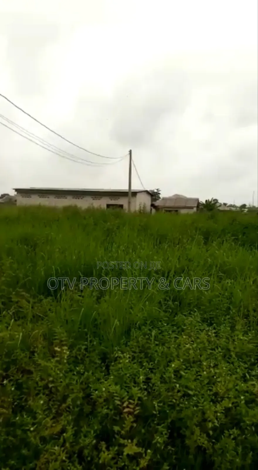 Direct Farmland for Sale* in Ewekoro