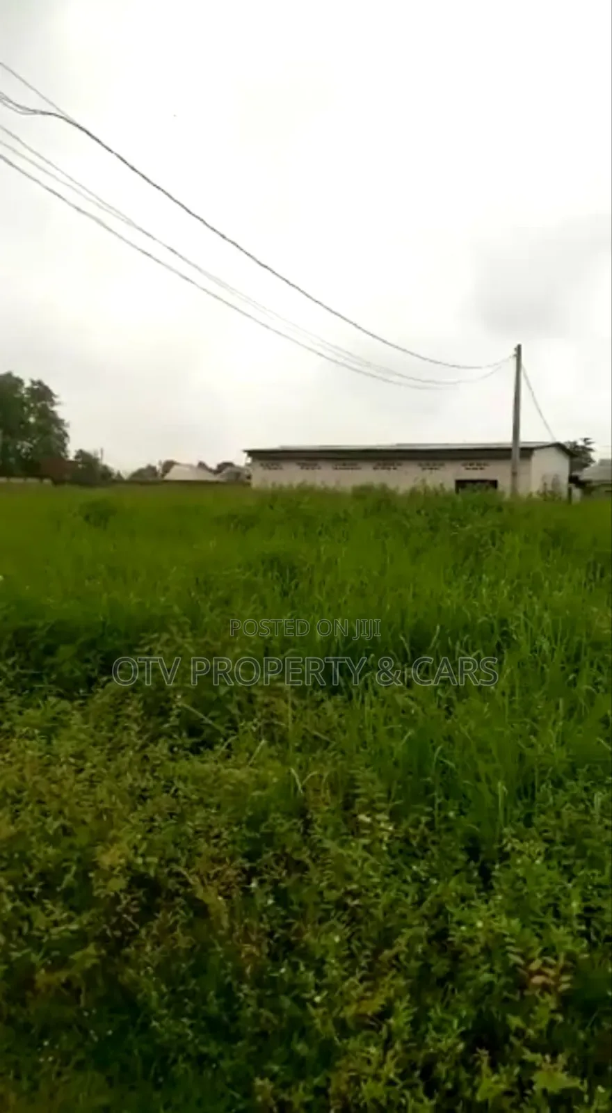 Direct Farmland for Sale* in Ewekoro