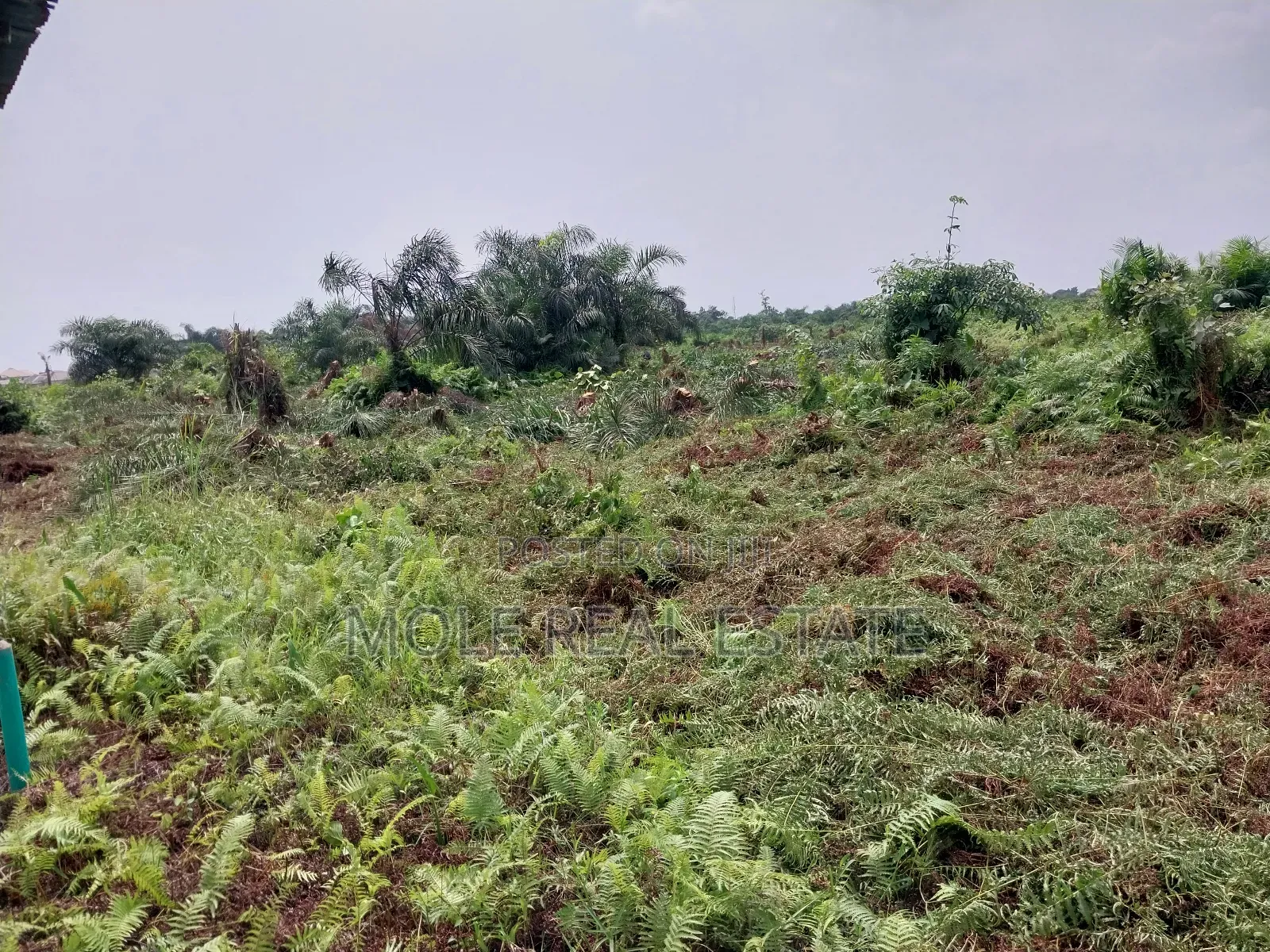 60ft by 120ft Full Plot Ijegun Festac Link in Ijegun