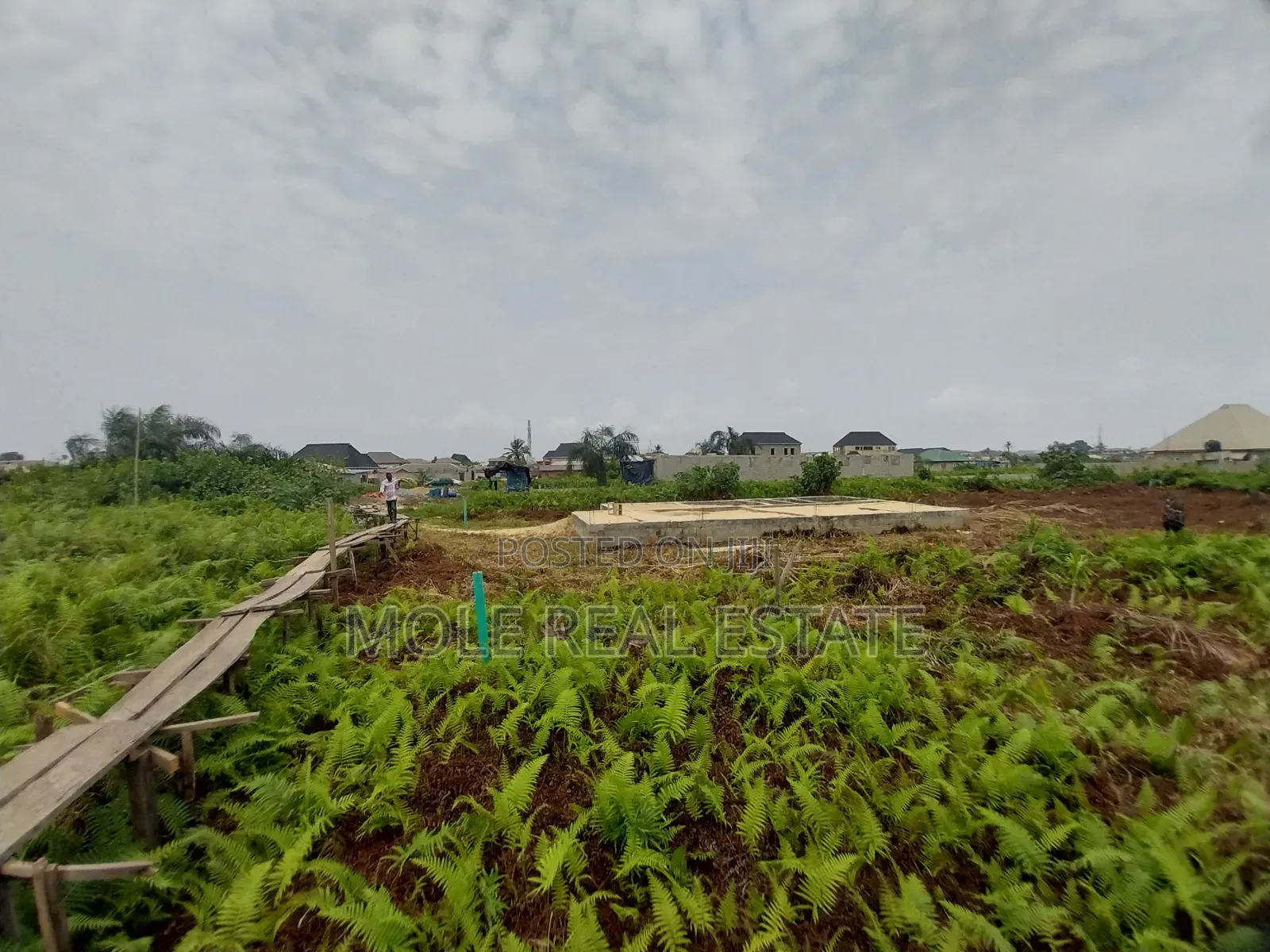 50ft By 25ft Starter Plot New Ijegun Festac Link RD in Ijegun