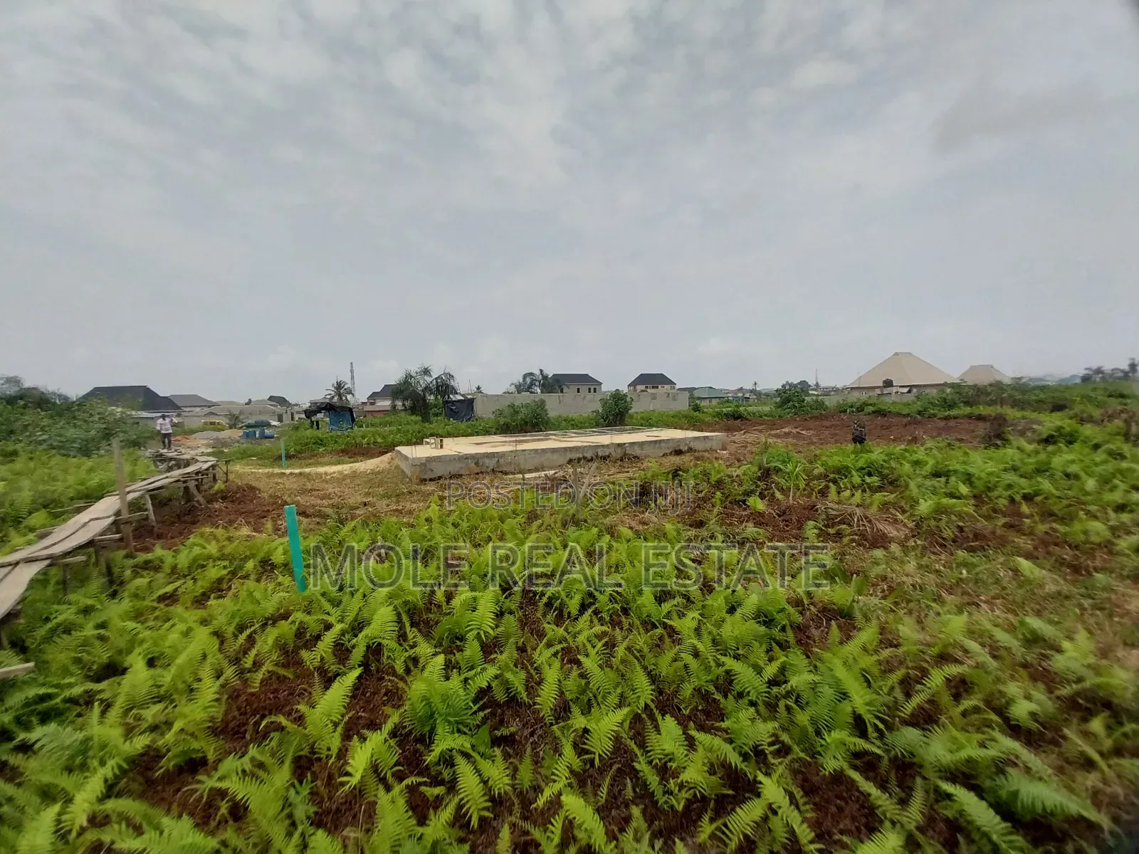 50ft By 25ft Starter Plot New Ijegun Festac Link RD in Ijegun