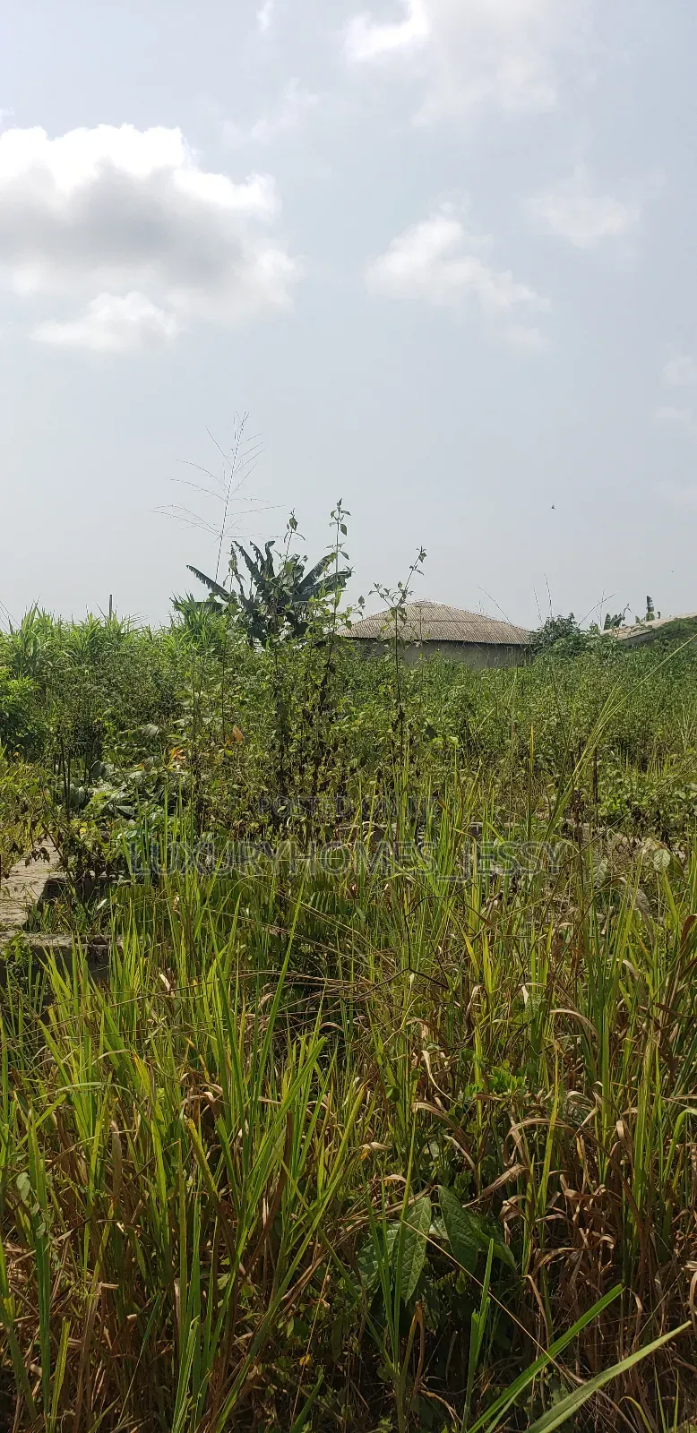 Affordable Massive Land for Sale at Epe in Epe