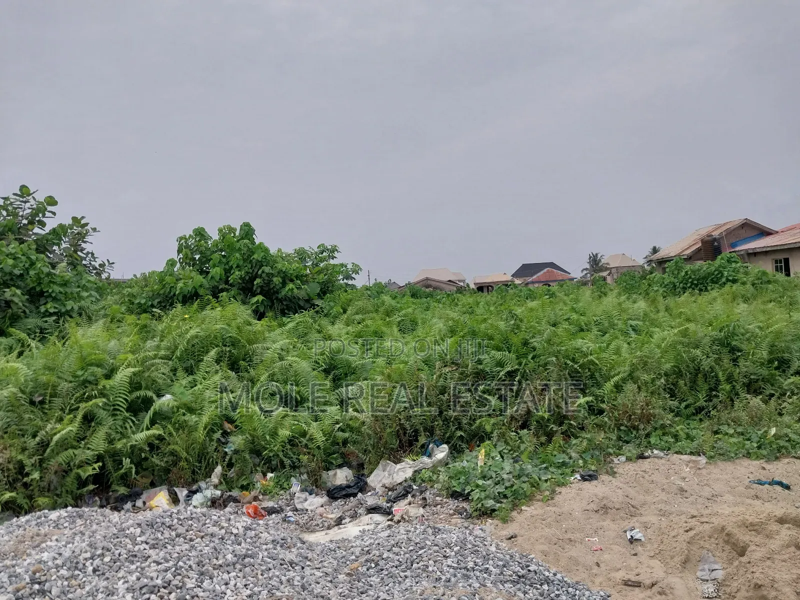 Full Plot 50ft by 100ft Ijegun Last Bustop in Ijegun