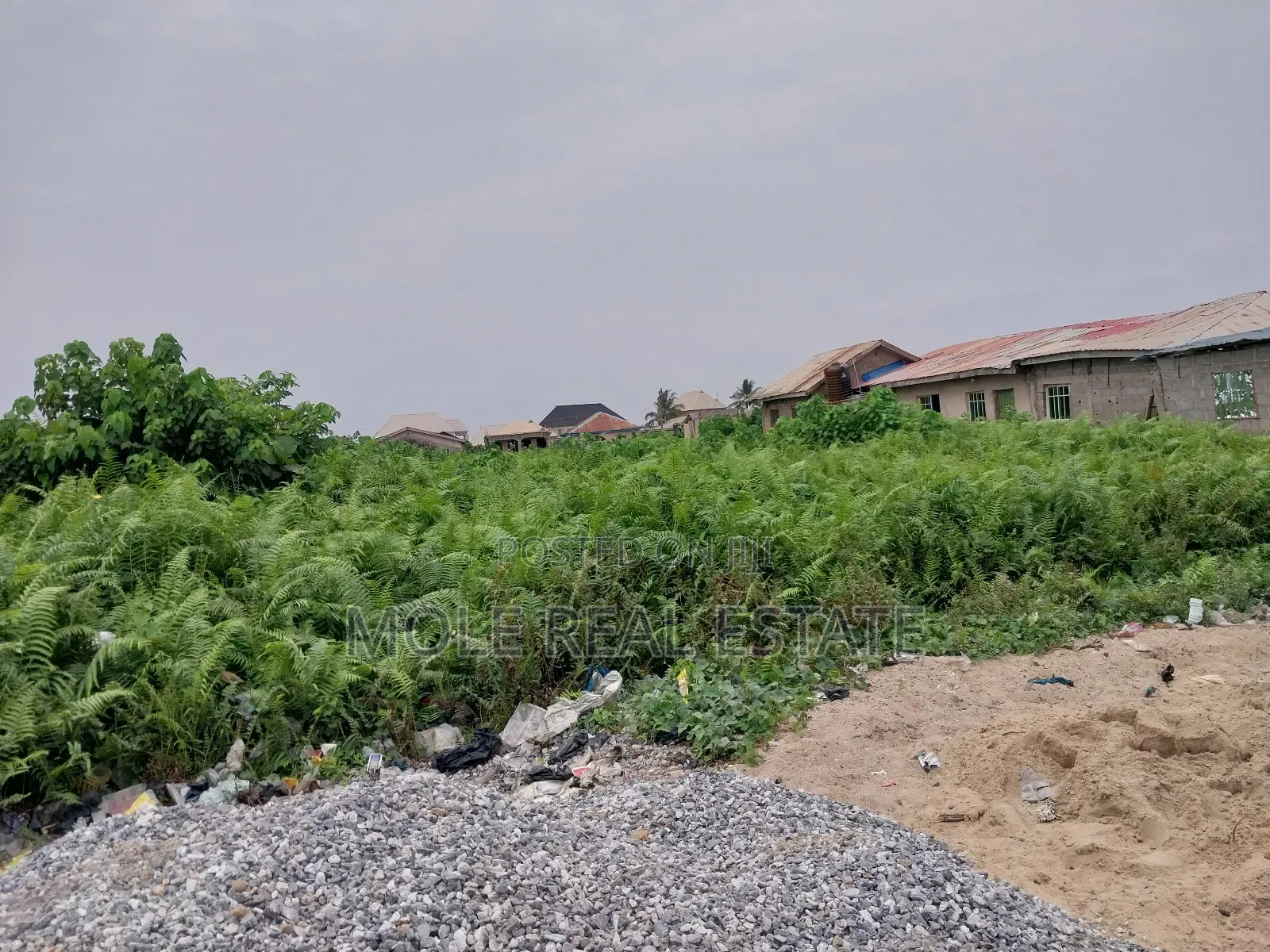 Full Plot 50ft by 100ft Ijegun Last Bustop in Ijegun