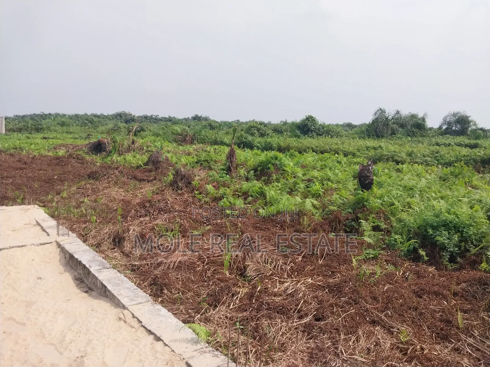 30ft by 120ft Half Plot Ijegun Lasu New Bypass in Ijegun