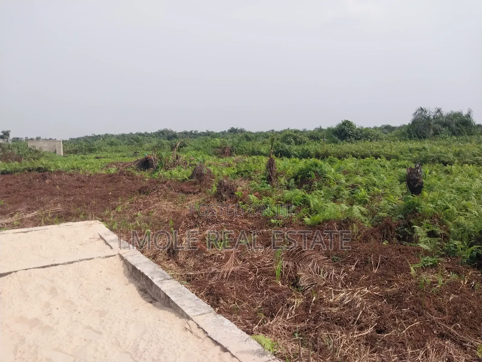 150sqm Ijegun Lasu New Expressway in Ijegun