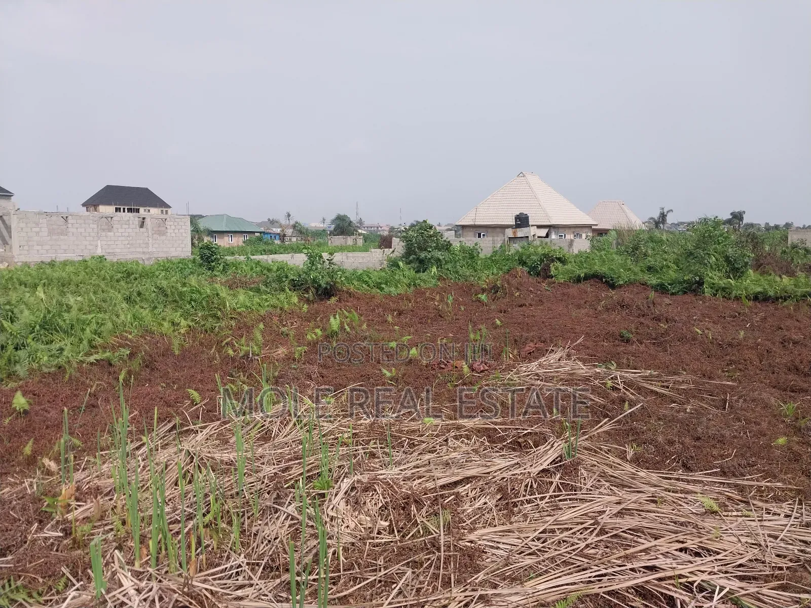 60ft by 120ft Plot Ijegun Festac Freedom From Rent in Ijegun