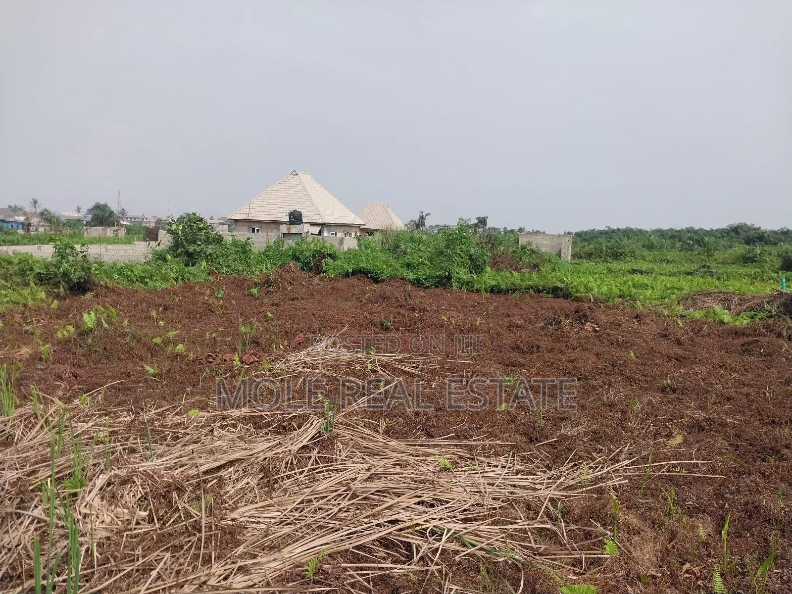 60ft by 120ft Plot Ijegun Festac Freedom From Rent in Ijegun