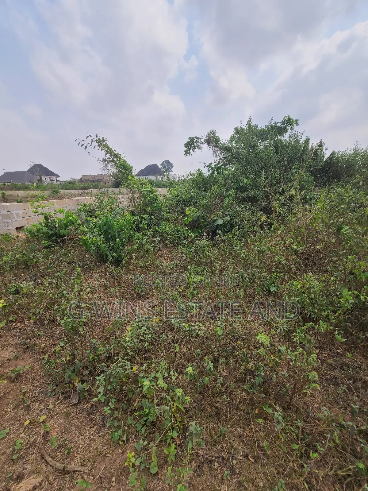Sweet 100x100ft Land for Sale in Benin City