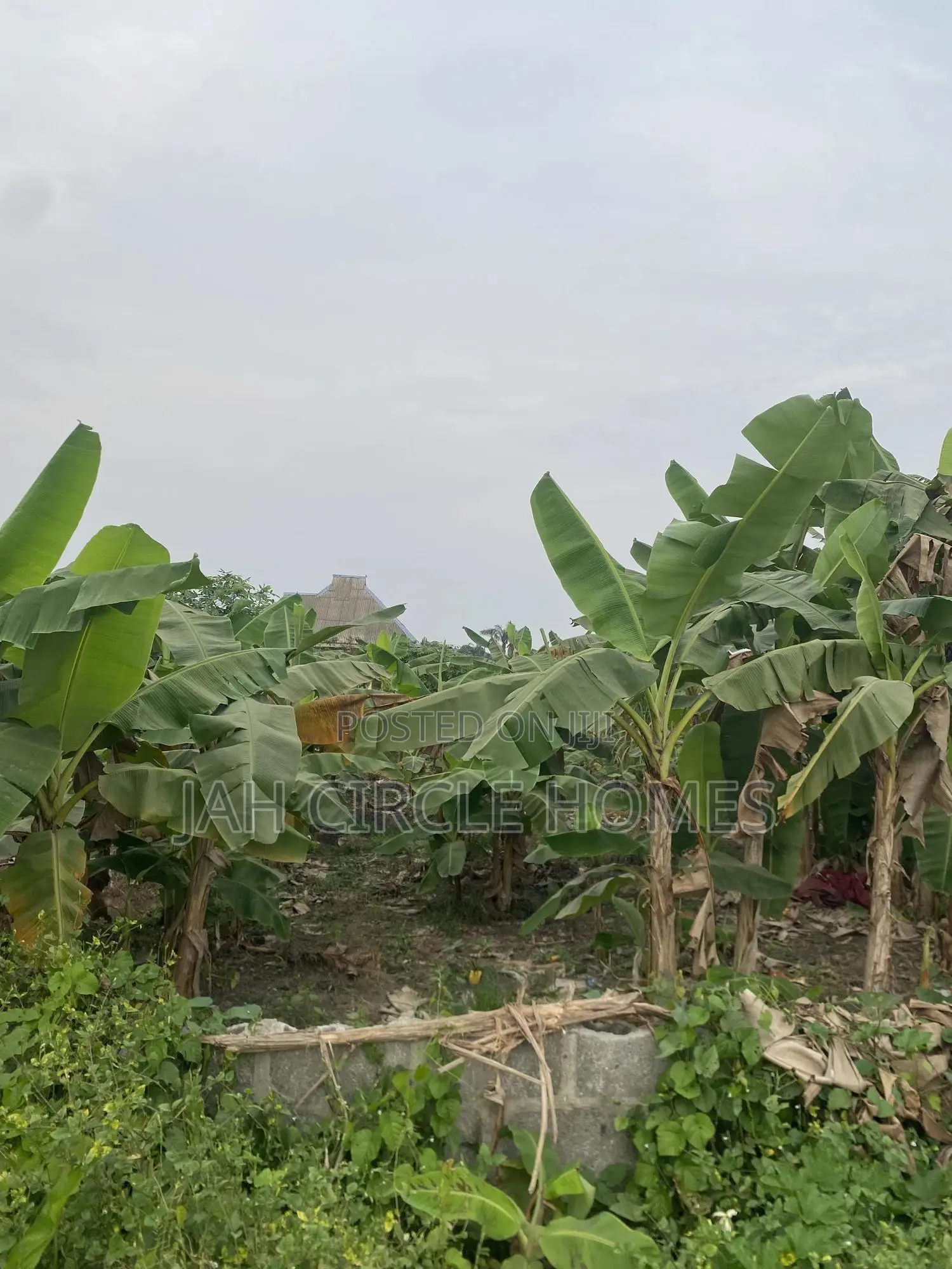 A Plot of Land at Banana Phase 2 Karpo Ijede Ikorodu in Ijede / Ikorodu