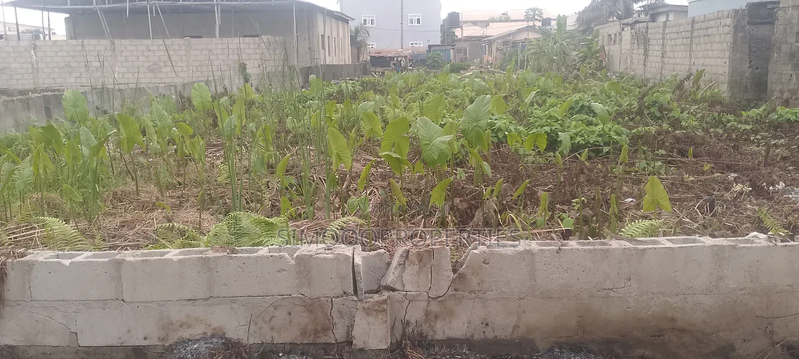 A Plot of Dry Land for Sale at Eputu, Ibeju Lekki Lagos in Awoyaya