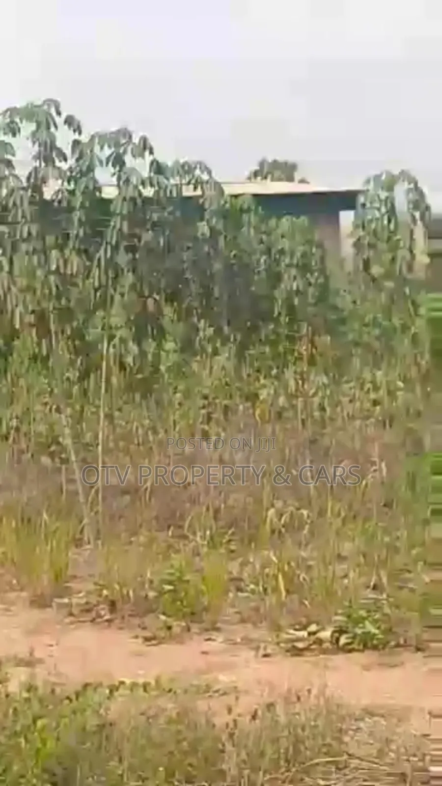 (22.876 Acres )9.281 Hectare of Farmland for Sale in Ewekoro