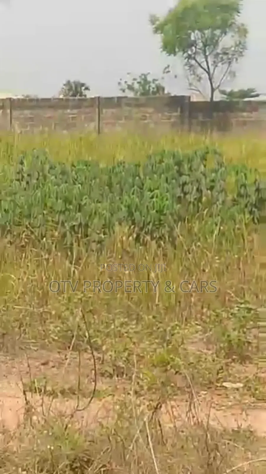 (22.876 Acres )9.281 Hectare of Farmland for Sale in Ewekoro