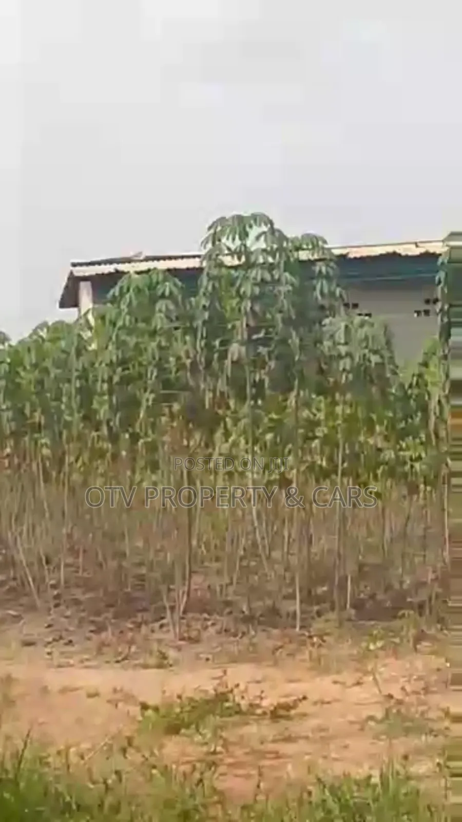 (22.876 Acres )9.281 Hectare of Farmland for Sale in Ewekoro