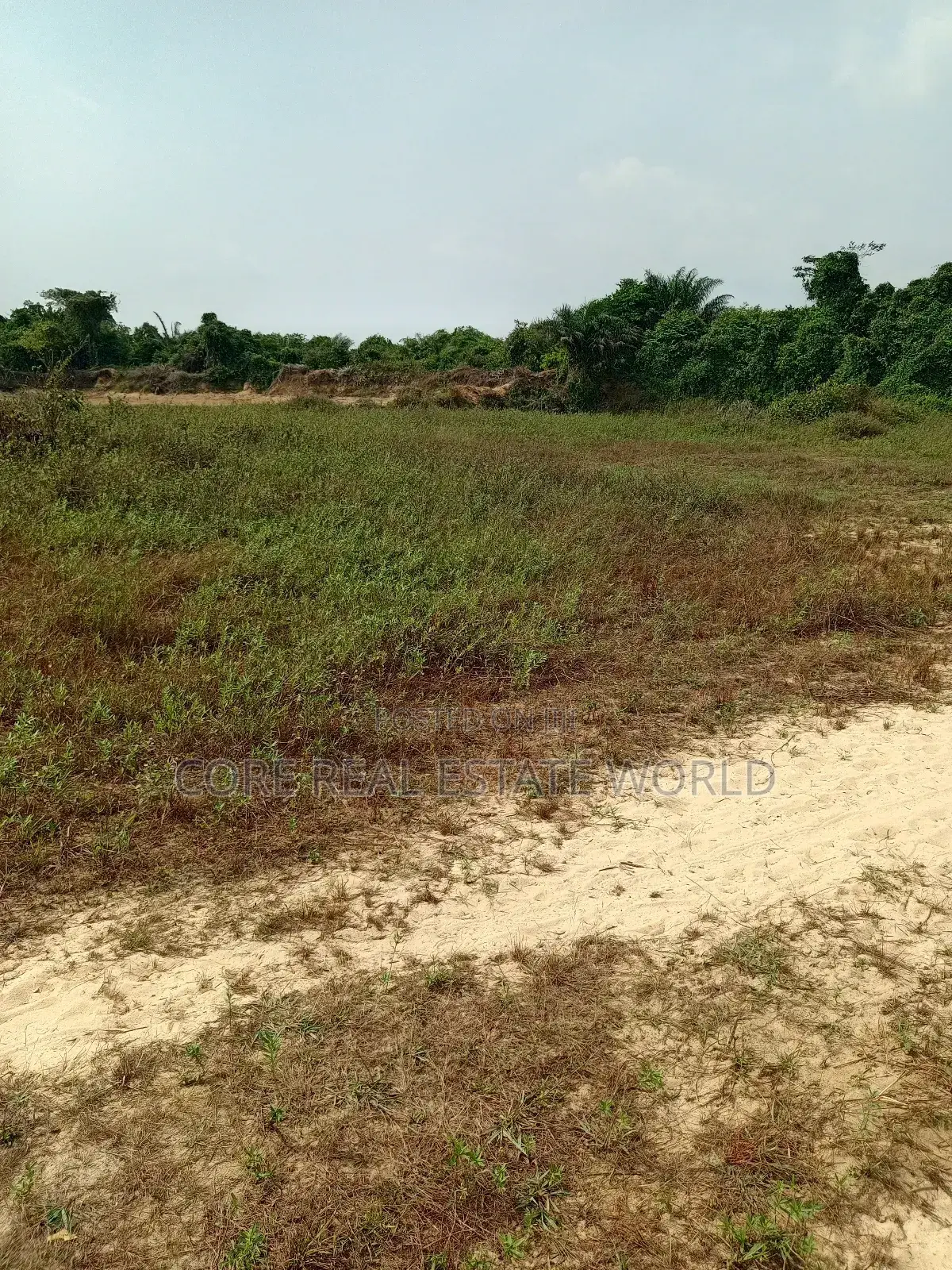 Flourish Garden Estate, Igwuruta-Ali Ph in Port-Harcourt
