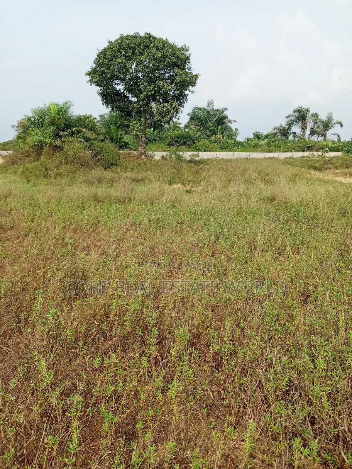 Flourish Garden Estate, Igwuruta-Ali Ph in Port-Harcourt