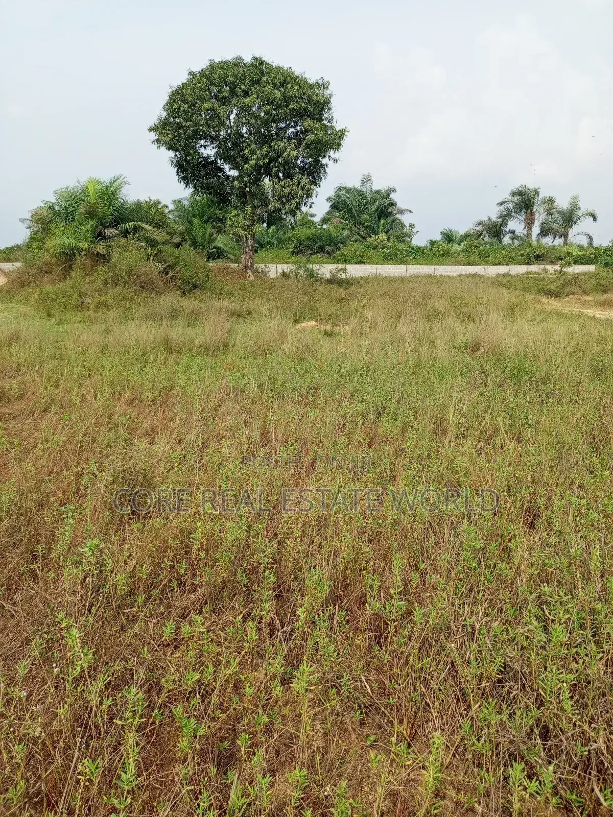 Flourish Garden Estate, Igwuruta-Ali Ph in Port-Harcourt