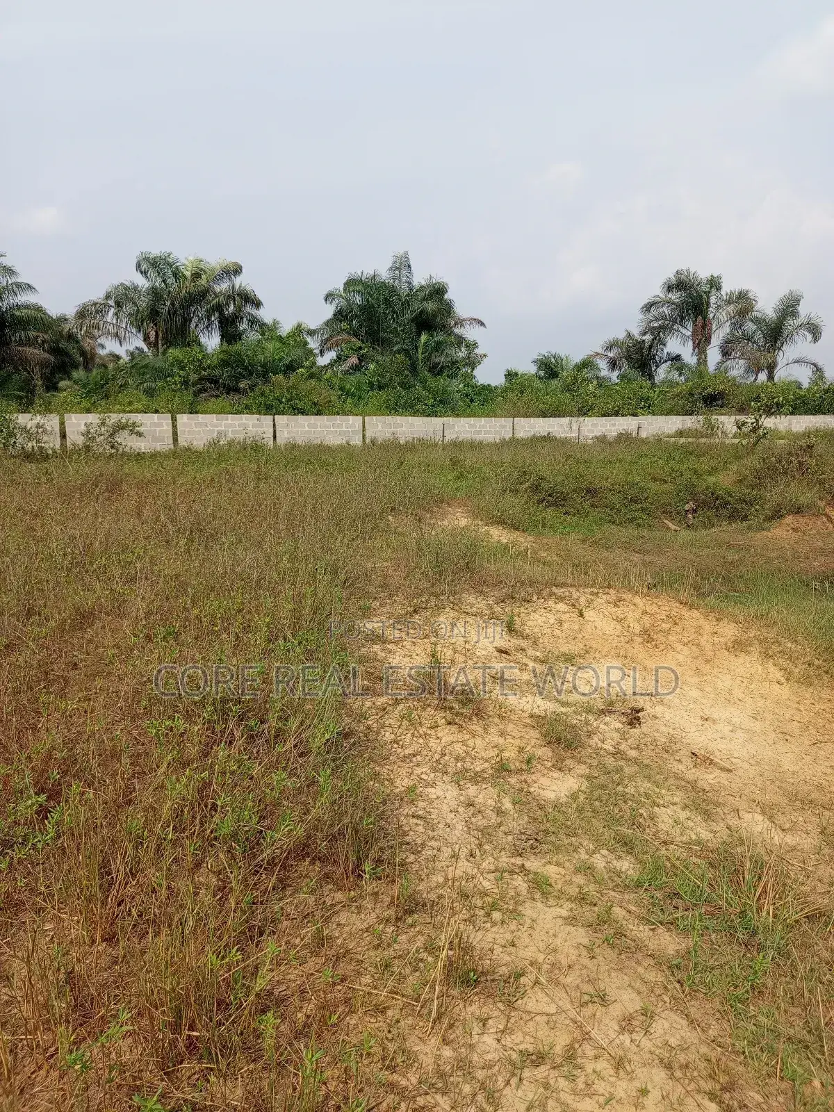 Max Pride, Ogua Community, Ovia North, Edo State in Ovia South