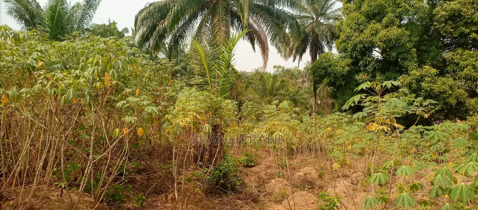 5 and Half Plots of Land at Amawbia, in Awka Anambra State in Awka