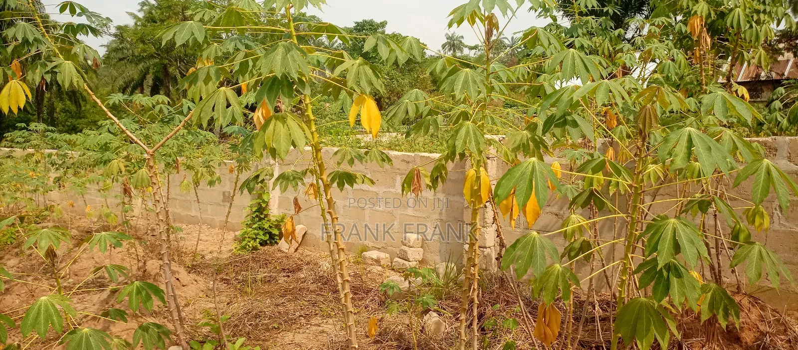 5 and Half Plots of Land at Amawbia, in Awka Anambra State in Awka