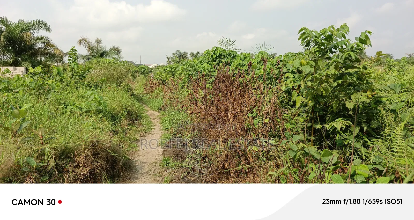 Your Dream Plots Awaits! in Bogije