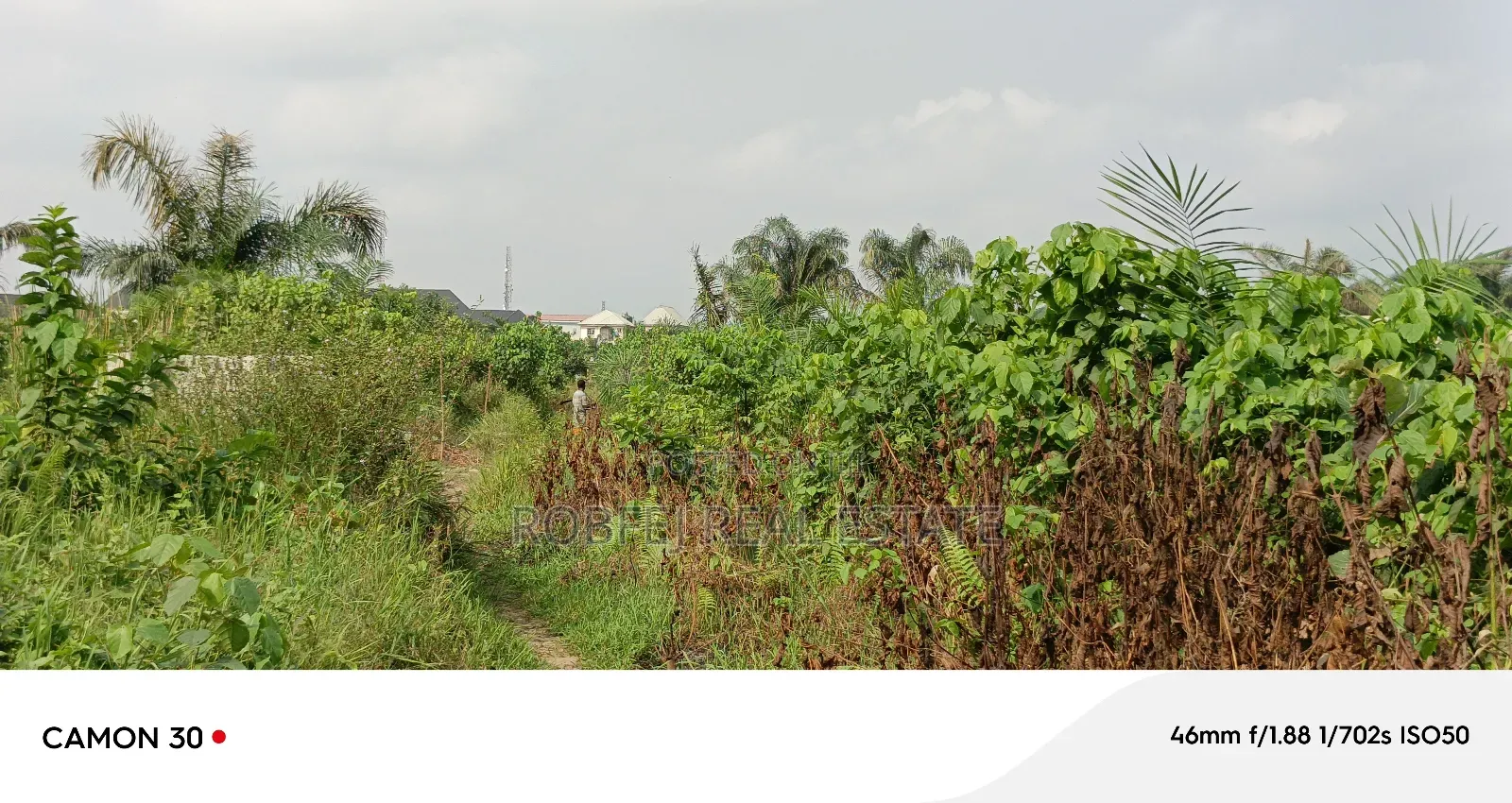 Your Dream Plots Awaits! in Bogije