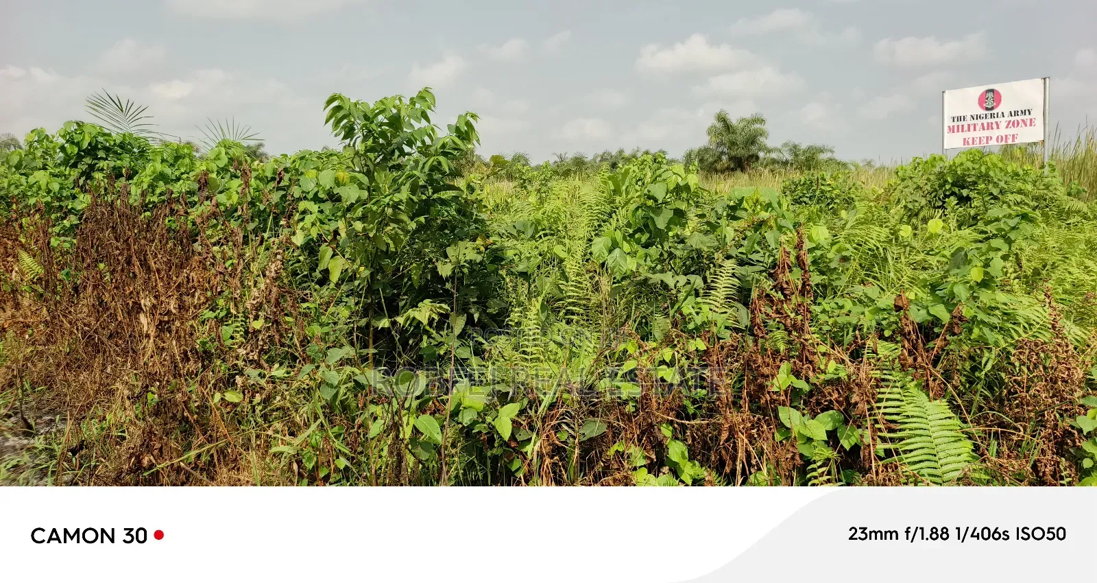 Your Dream Plots Awaits! in Bogije