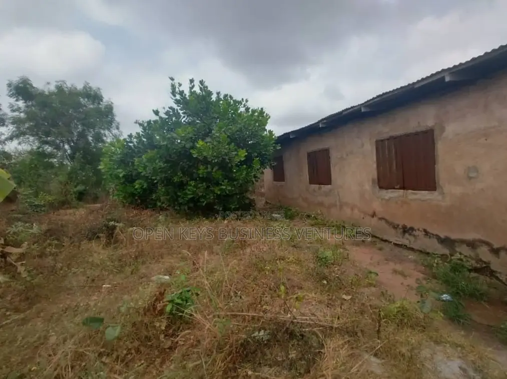 30 Acres Farmland in Ido