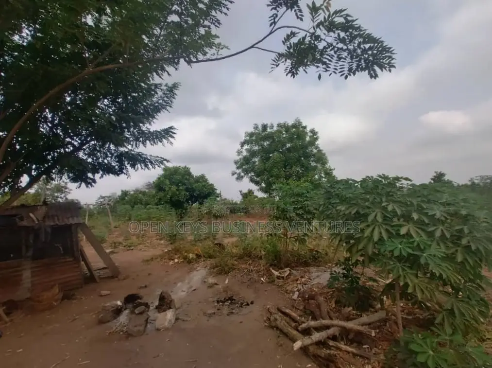 30 Acres Farmland in Ido