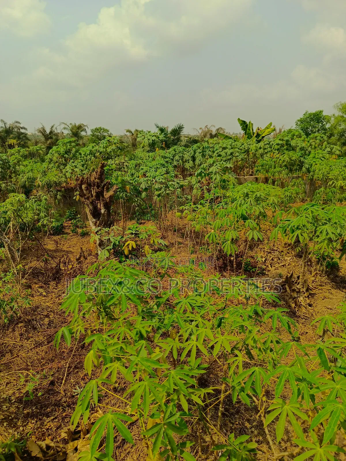 15 Acres of Land Facing Lagos/Ibadan Commercial Use in Remo North