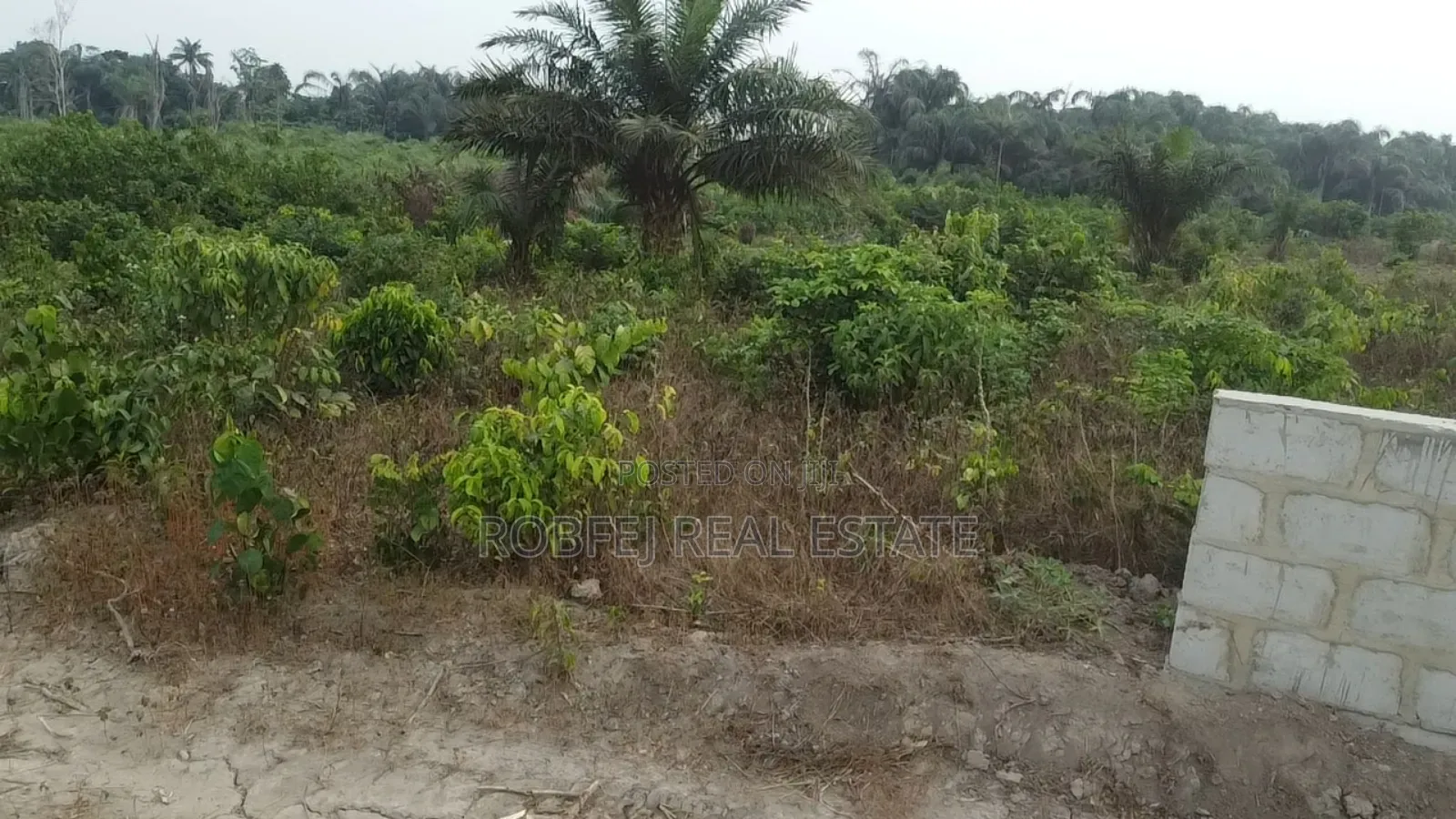 Own a Piece of the Future in Epe