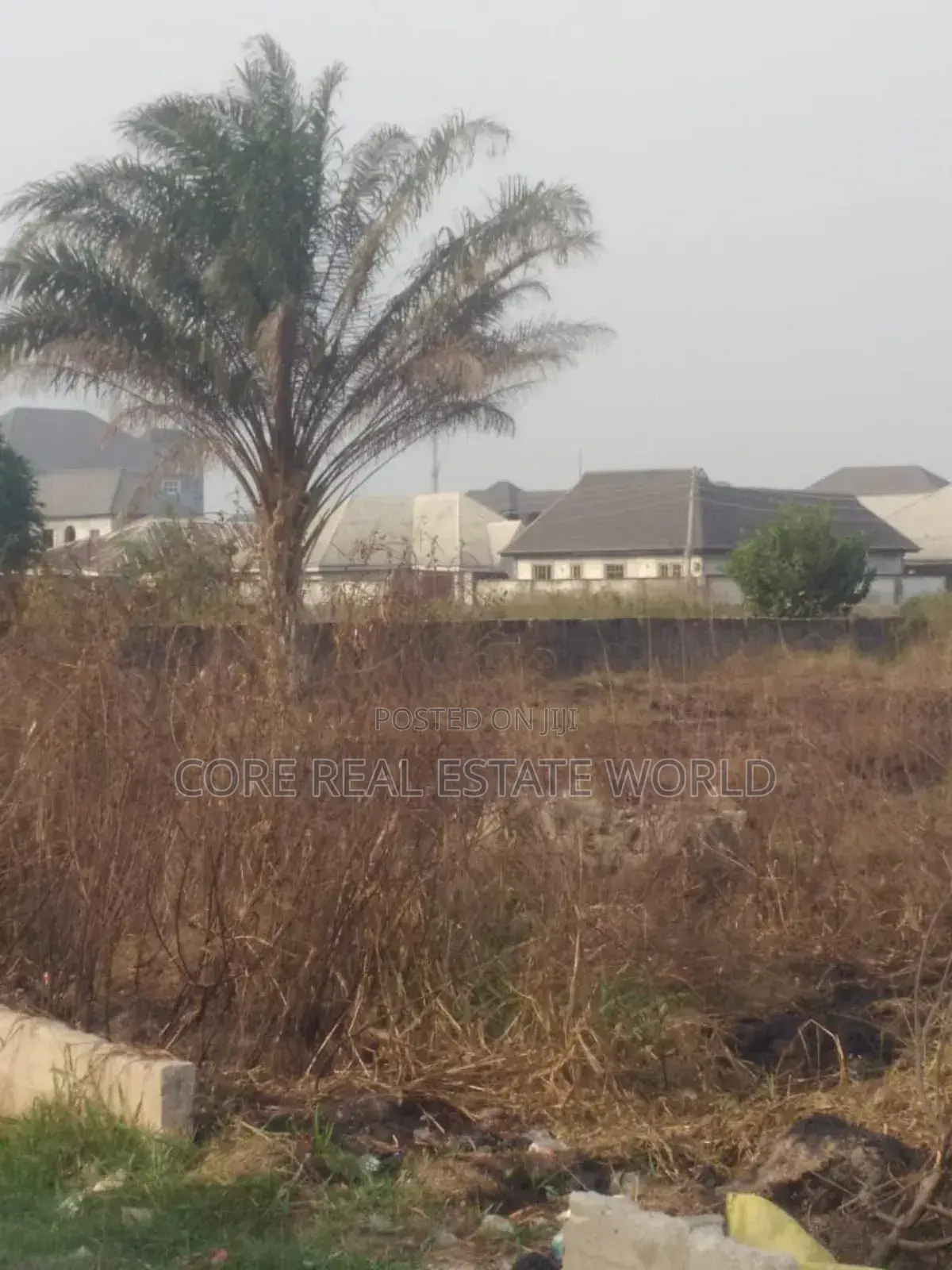 Ikola Ipaja Command Estate Land Lagos State in Ipaja / Ipaja