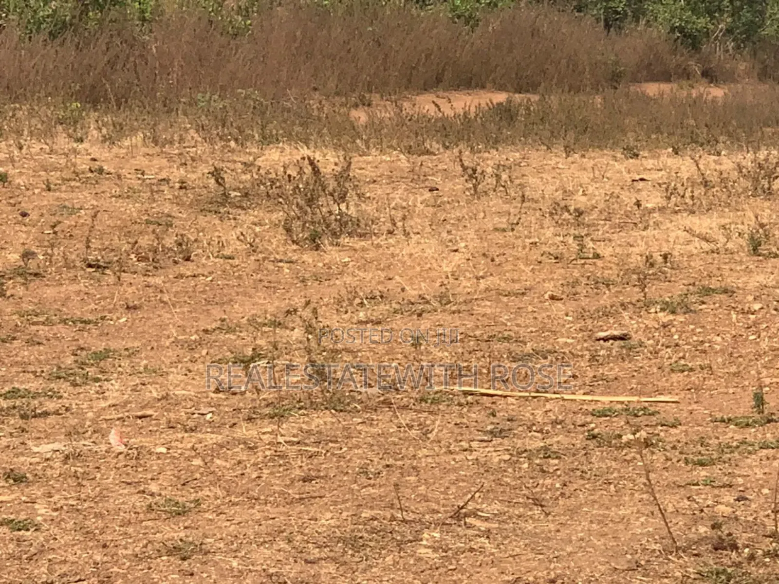Beautiful Lush Estate Is Serenely Sitted in Abuja in Guzape District