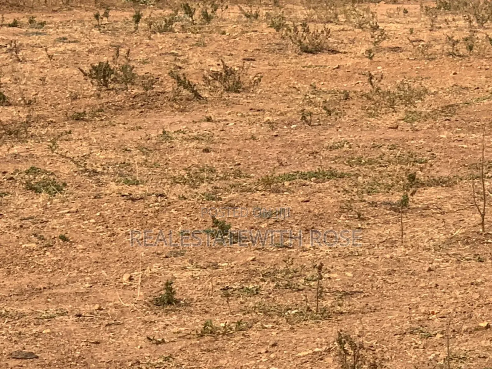 Beautiful Lush Estate Is Serenely Sitted in Abuja in Guzape District