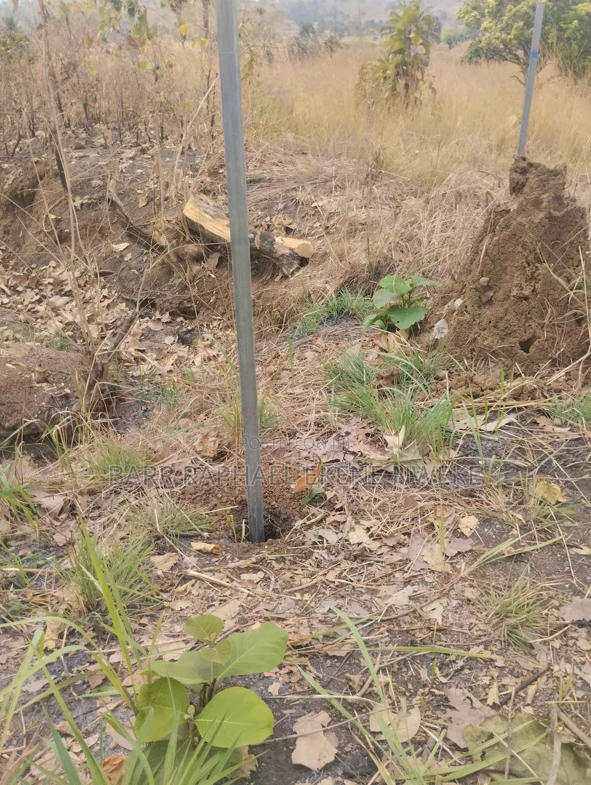 1000 Plots of Land for Sale in Aghamelu