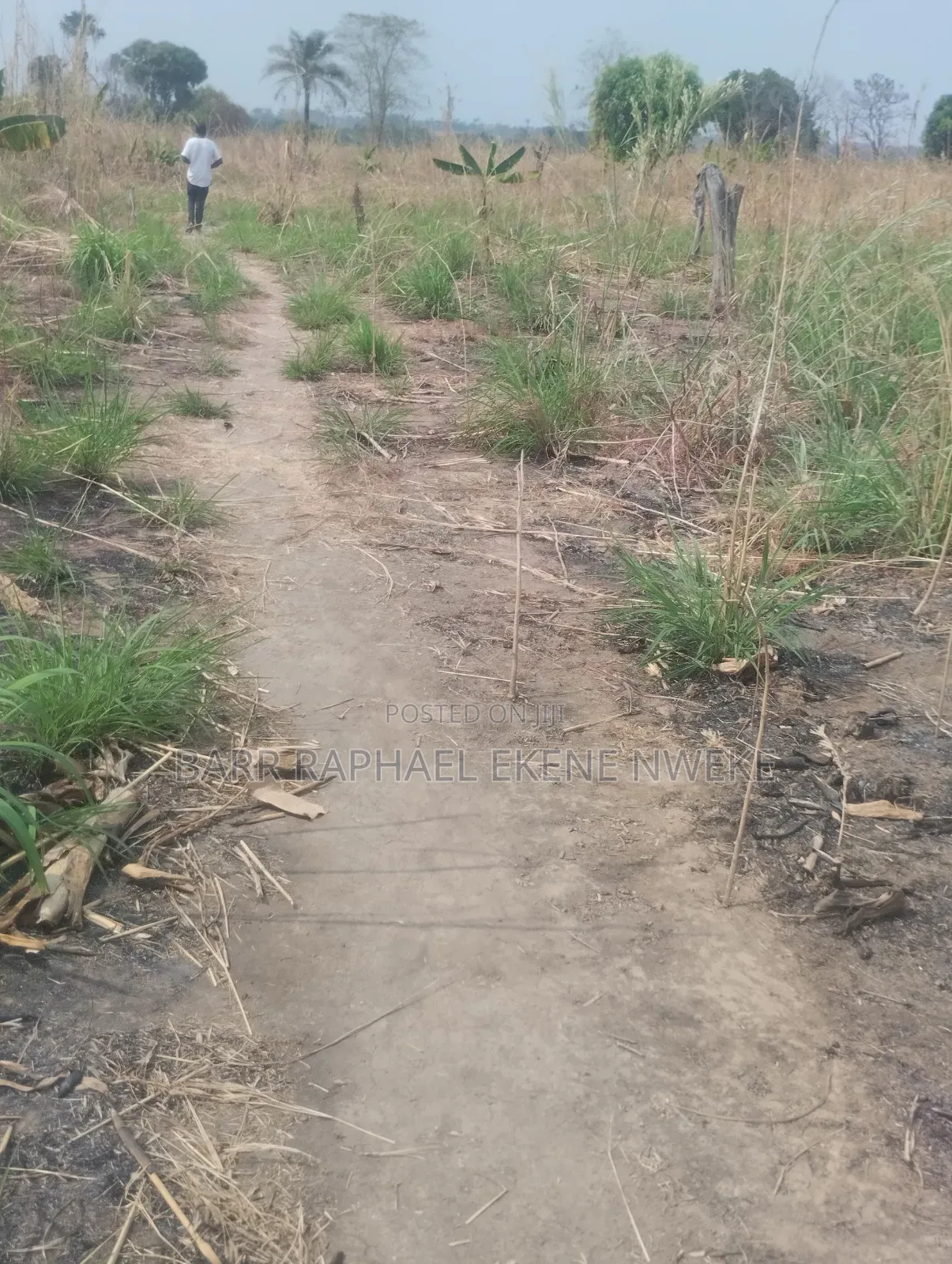 1000 Plots of Land for Sale in Aghamelu