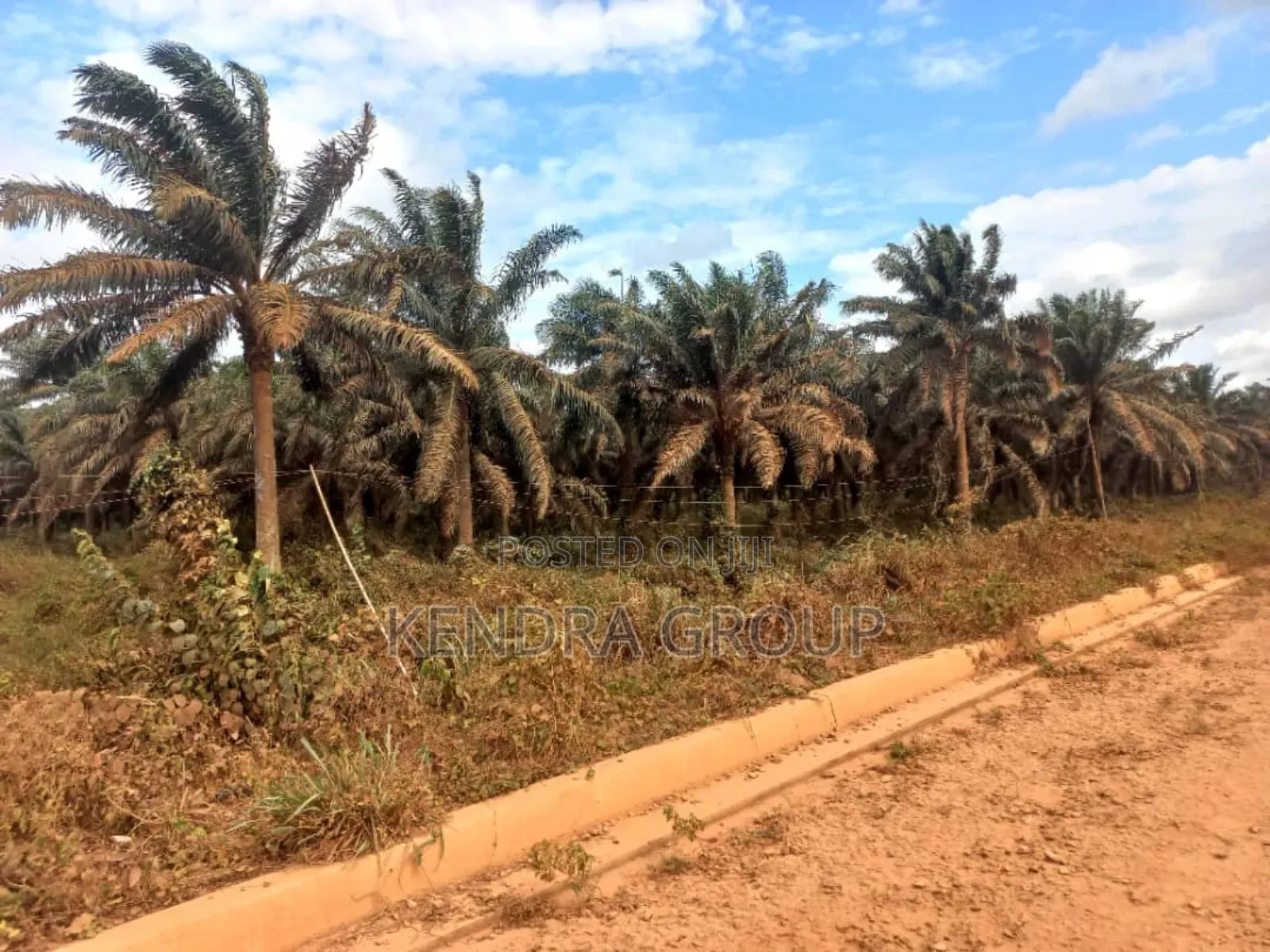 Land for Sale at Springville Estate, Oluodo in Ebute