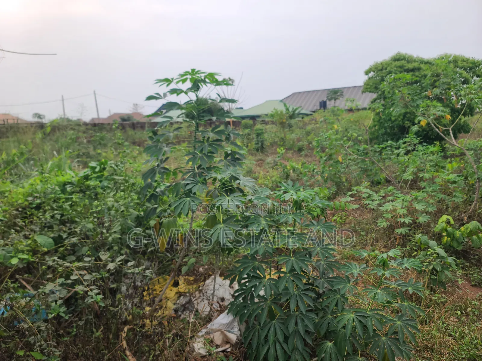 For Sale 200ft by 200ft Four Plots at Amagba Gra in Benin City